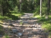 11. Stilte ien mien zail (1)